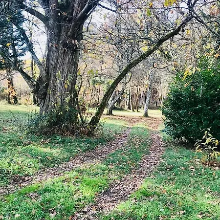 De L'ecuyer Apartment