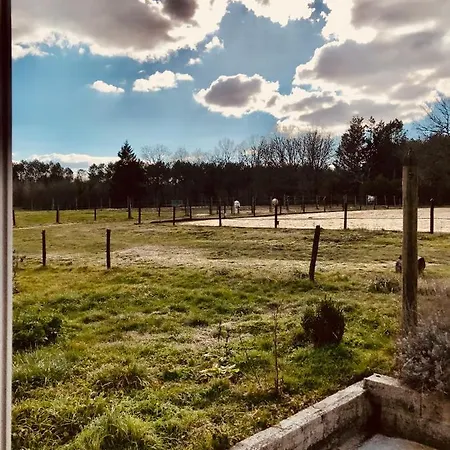 Apartment De L'ecuyer