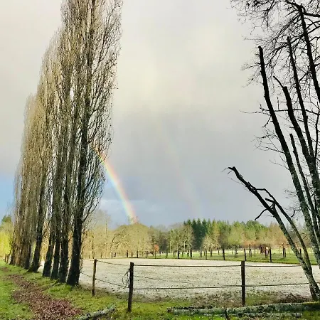 De L'ecuyer Apartment