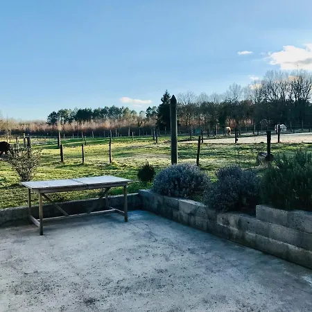 Apartment De L'ecuyer *