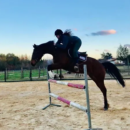 De L'ecuyer Apartment *